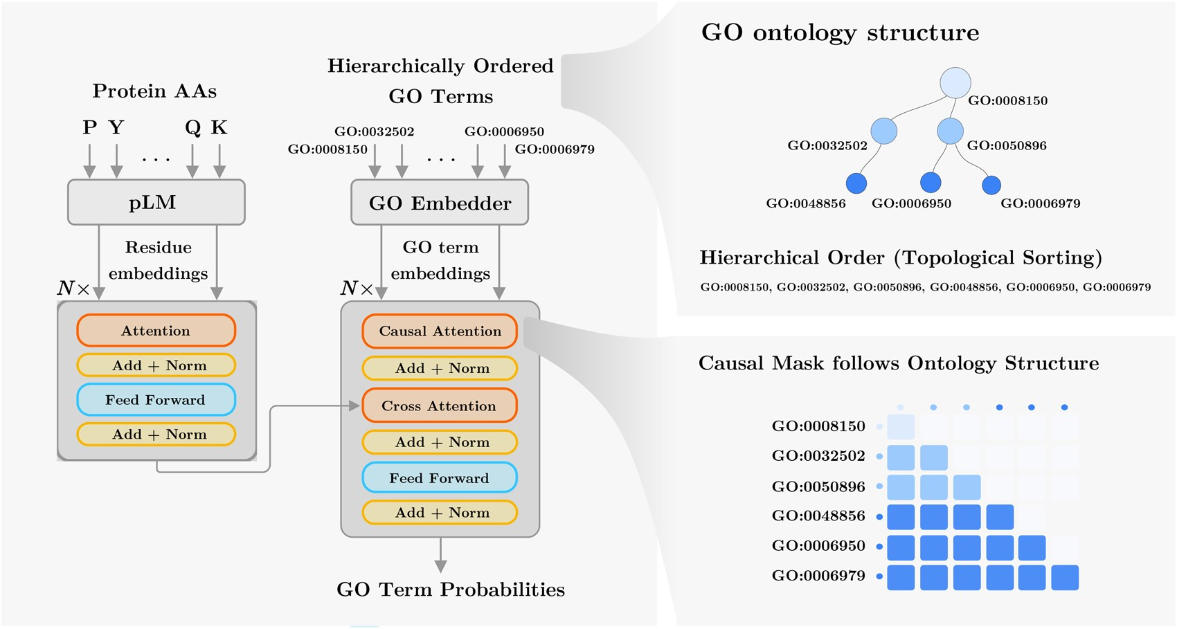 STAR-GO accepted for publication in Bioinformatics